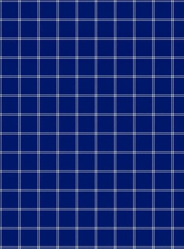 [SEF-T2-77] Blue Plaid Hand Towel From Studio E Fabrics