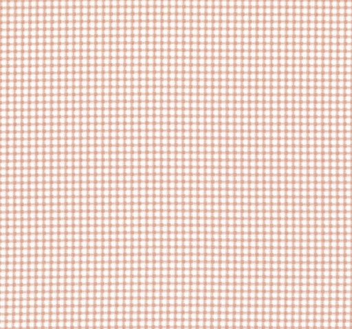 [RB-14704-CRL] The Tale Of Peter Rabbit Gingham Coral By Beatrix Potter For Riley Blake Designs
