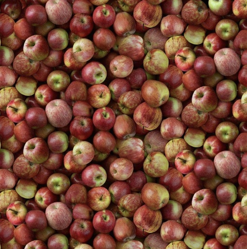 [TTR-CD2942-RED] Cider Season Packed Apples Red from Timeless Treasures