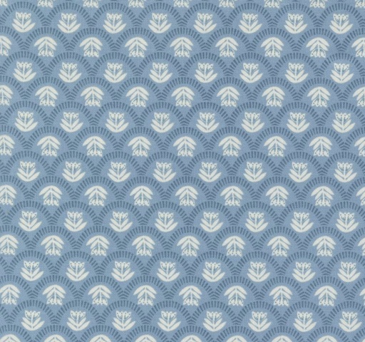 [MOD-45605-21] Folk Lore Scallop Sky