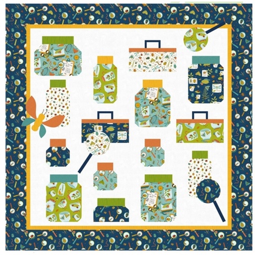 [PP-LookingAtYou] Looking at You Quilt Kit