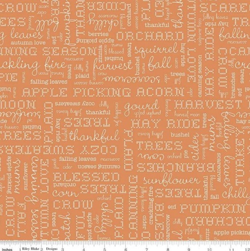 [RB-14667-PUMPKIN] Autumn Words Pumpkin from Riley Blake