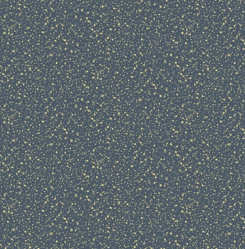 [DS-2857Licorice] Stardust Licorice from Dear Stella