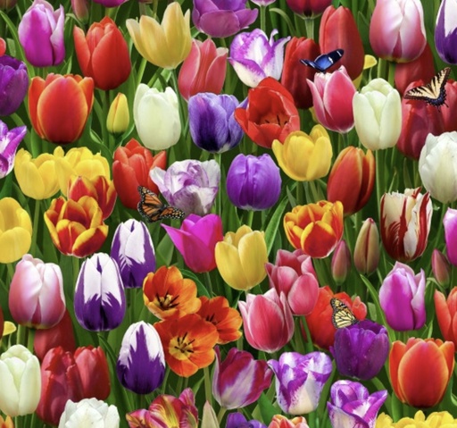 [ES-664E-MULTI] Burst of Color Tulips from Elizabeth's Studio