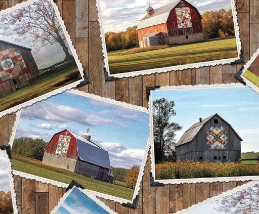 [NOR-27315-36] Barn Quilts Barn Blocks Brwn