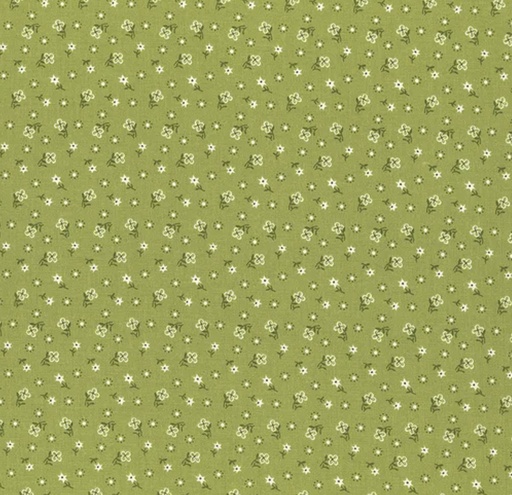 [RB-12843-LETT] Calico Meadow Lettuce by Lori Holt for Riley Blake Designs