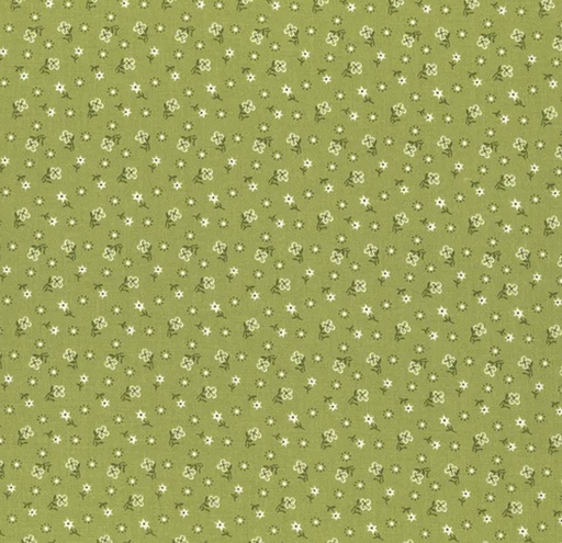 [RB-12843-LETT] Calico Meadow Lettuce by Lori Holt for Riley Blake Designs