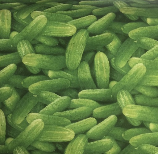 [ES-437-GRN] Food Festival Green Pickles from Elizabeths Studio