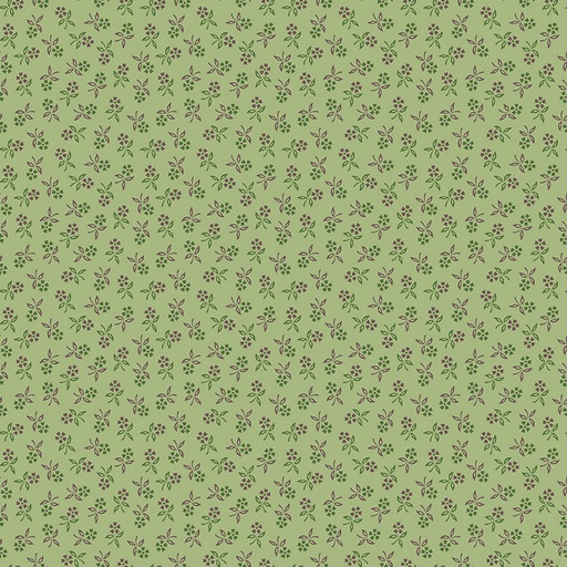 [RB-14664-Lettuce] Autumn Perennial Lettuce