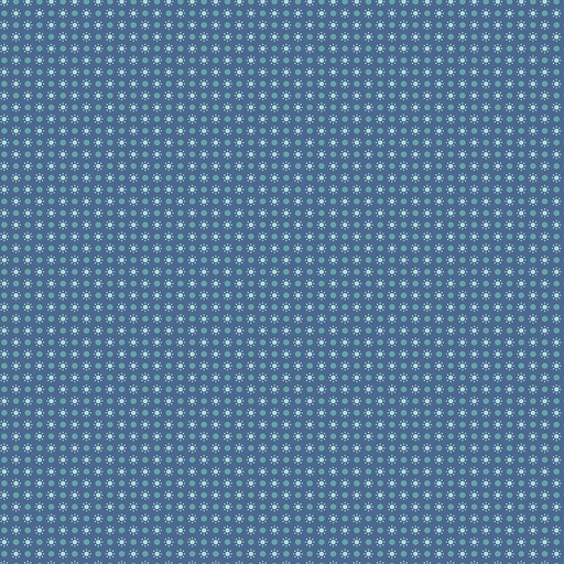 [RB-14657-Denim] Autumn Dots Denim