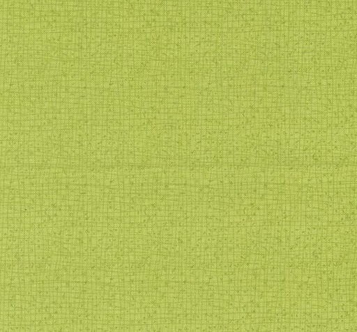 [MOD-48626-214] Thatched Lime for Moda