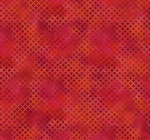 [NOR-27783-24] Boho Blooms Mini Grid Red by Deborah Edwards for Northcott Fabrics