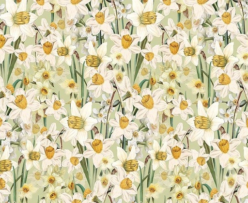 [COW-4364-23] Spring Garden Daffodils Light Olive by Katie Pertiet for Clothworks