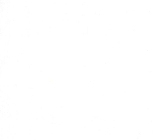 [MOD-5746-10] Crackle Basics White on White by Kathy Schmitz for Moda Fabrics