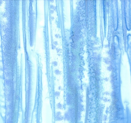 [HOF-1386-203] Bet on Blue Batiks Mottles H2O from Hoffman Fabrics