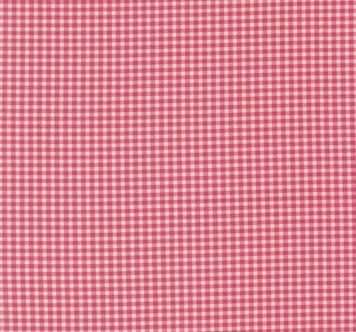 [MOD-31709-12] Goodnight Irene Checkers Gingham Carnation by Betsy Chutchian for Moda Fabrics