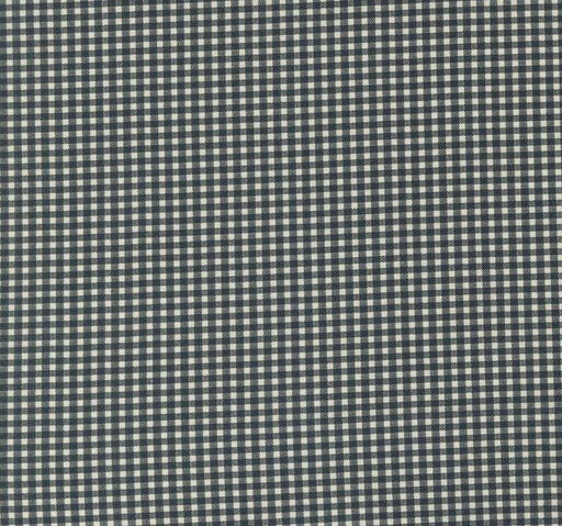[MOD-31709-17] Goodnight Irene Checkers Gingham Graphite by Betsy Chutchian for Moda Fabrics