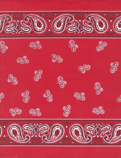 [MOD-920-297] 16" Classic Retro Red Bandana Toweling by Stacy Iest Hsu for Moda Fabrics