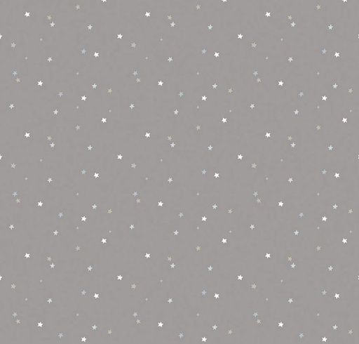 [RB-16114-STEEL] Flannel Till the Cows Come Home Stars Steel from Riley Blake Designs