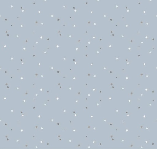 [RB-16114-SKY] Flannel Till the Cows Come Home Stars Sky from Riley Blake Designs