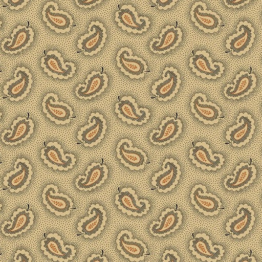 [AND-5314-K] Carolina Paisley Black by Jo Morton for Andover Fabrics