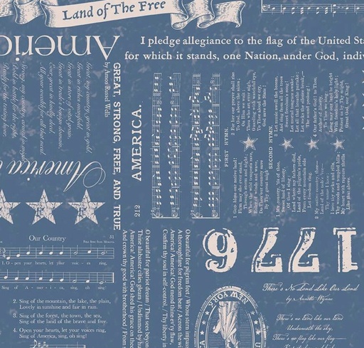 [RB-16080-DNM] Americana Liberty Denim by Lori Holt for Riley Blake Designs