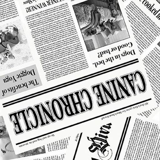 [HG-1746-01] Diva Pups Newspaper White by Robert Giordano for Henry Glass Fabrics