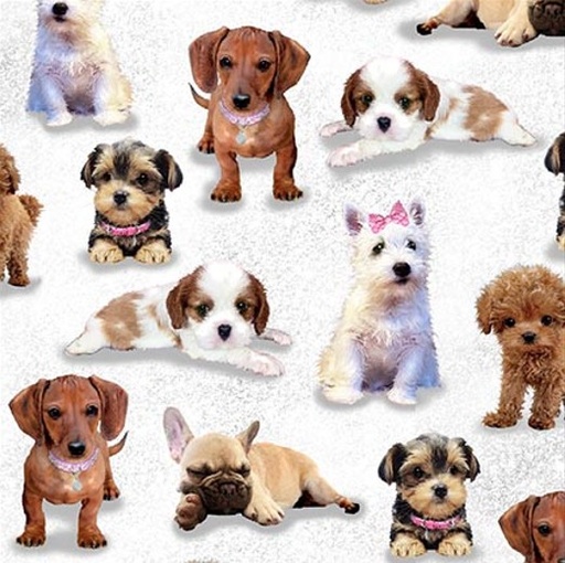 [HG-1743-01] Diva Pups Puppies White by Robert Giordano for Henry Glass Fabrics