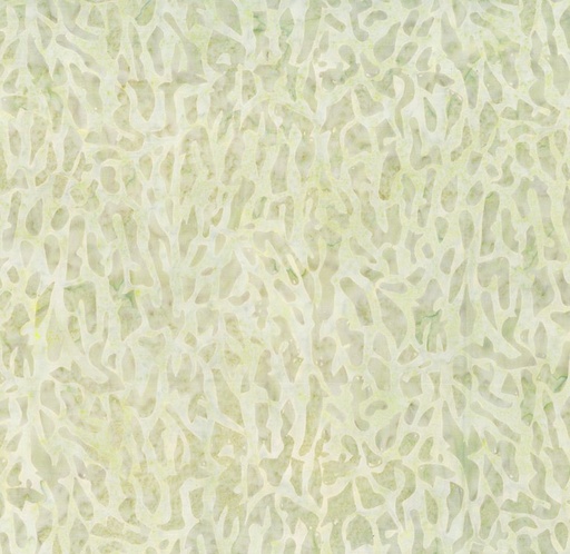 [NOR-83383-12] Mushroom Medley Batiks Morel White Sand from Banyan Batiks