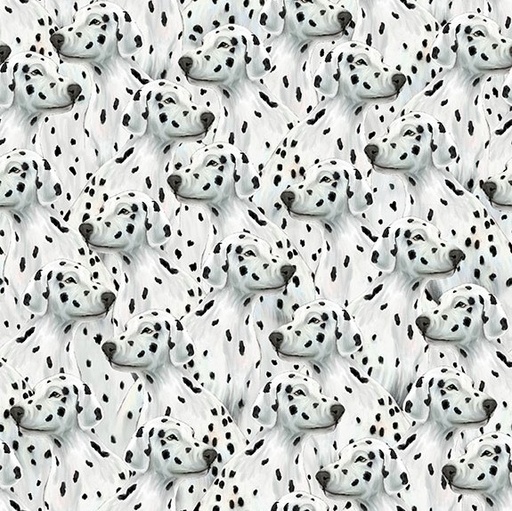 [BLAN-4094-01] Fire Alarm Dalmation White by Paul Walsh for Blank Quilting