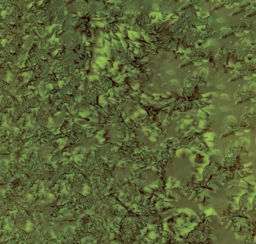 [RB-21000-315] Expressions Batiks Hand-Dyes Olive from Riley Blake Designs