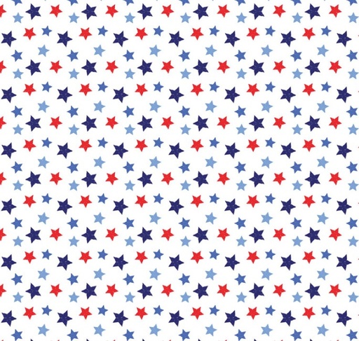 [BEN-15016-09B] Mid-Atlantic Shop Hop 2025 Patriotic Stars White from Benartex