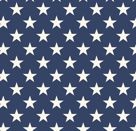 [RB-WB15629-Blue] Freedom Garden Stars 107/108" Wide Back from Riley Blake