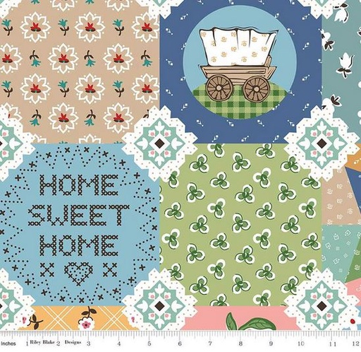 [RB-WB15577-Multi] Prairie Very Prairie 107/108" Wide Back Multi
