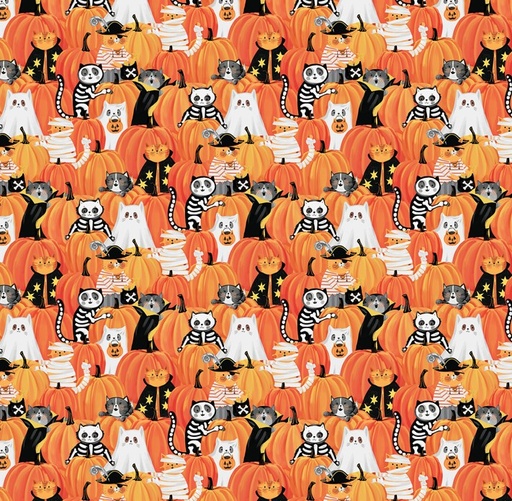 [NOR-28202-54] The Boo Crew Peek Pumpkins Orange from Northcott Fabrics