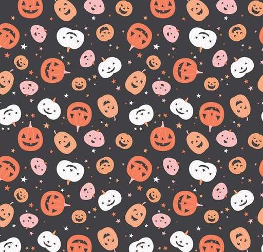 [RB-16031-CHRCL] Hey Pumpkin Pumpkins Charcoal by My Mind's Eye for Riley Blake Designs
