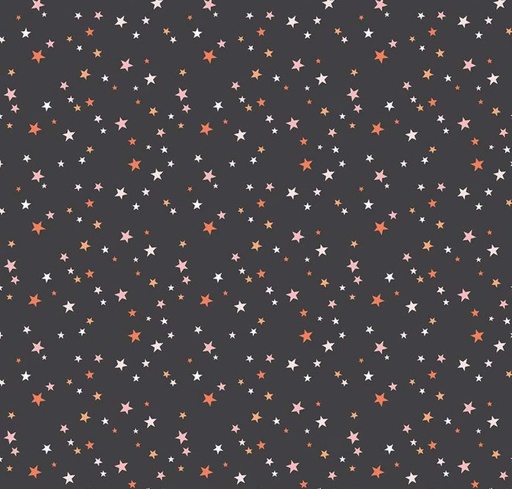 [RB-16037-CHRCL] Hey Pumpkins Stars Charcoal by My Mind's Eye for Riley Blake Designs