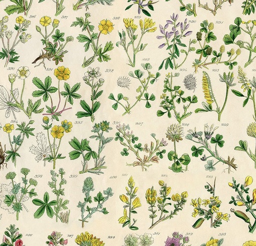 [FR-PWTH245-YLW] Palette Yellow Botanical Yellow by Tim Holtz for FreeSpirit Fabrics