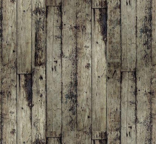 [FR-PWTH256-NTRL] Palette Neutral Wood Neutral by Tim Holtz for FreeSpirit Fabrics
