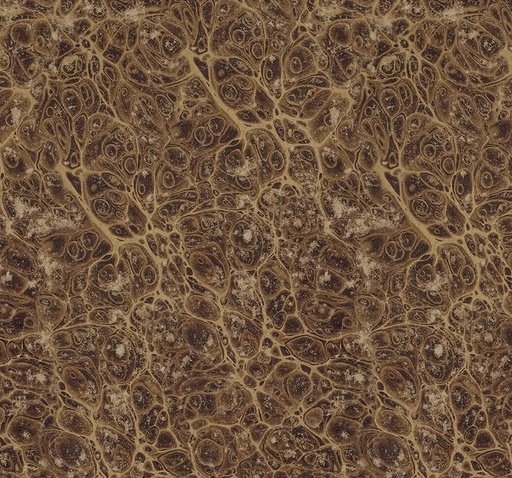 [FR-PWTH259-NTRL] Palette Neutral Marble Neutral by Tim Holtz for FreeSpirit Fabrics
