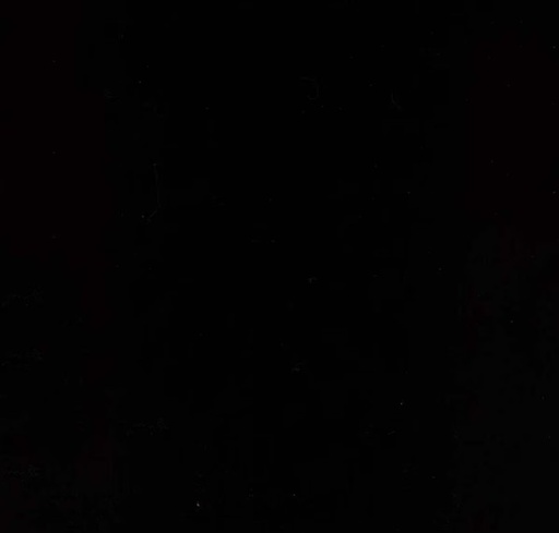 [RB-21000-118] Expressions Batiks Hand-Dyes Raven from Riley Blake Designs