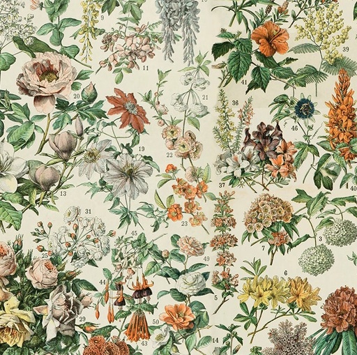 [FR-PWTH237-ORNG] Palette Orange Botanical Orange by Tim Holtz for FreeSpirit Fabrics
