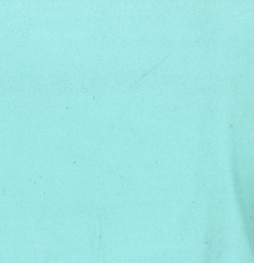 [OA-66-31] Heavy Flannel Solids Pale Aqua from Oasis Fabrics