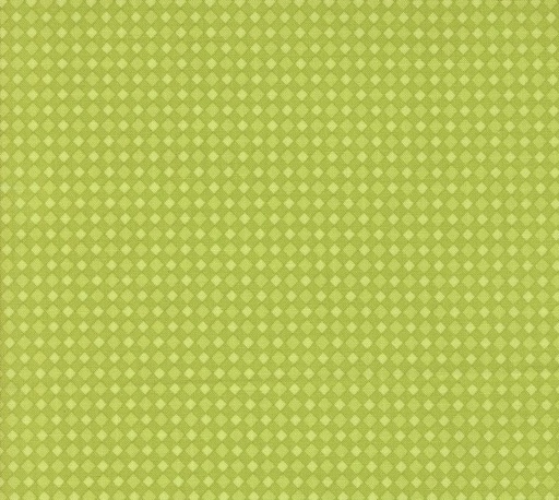 [MOD-22487-16] Fab Boo Lous Spooky Gingham Green Slime by Me and My Sister Designs for Moda Fabrics