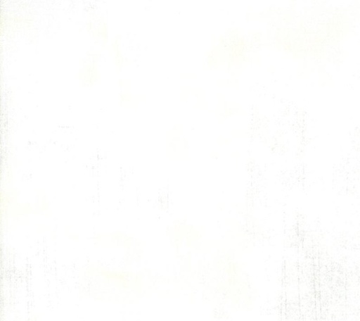 [MOD-11108-101] 108" Grunge White Paper by BasicGrey for Moda Fabrics