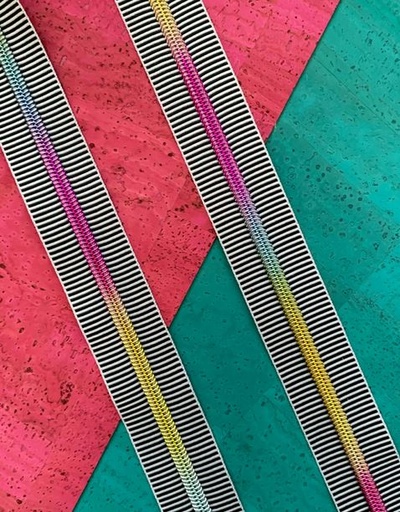 [SASSKIT-17G] Black Stripe Zipper Tape with Rainbow Teeth from Sassafrass Design