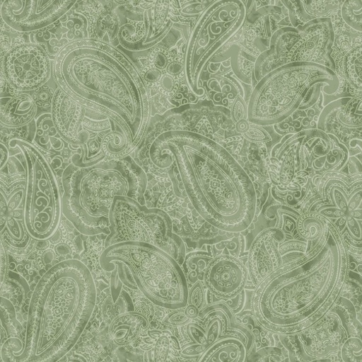 [BLAN-3849-60] Paisley Jane Wide Back Paisley Sage by Satin Moon Designs for Blank Quilting