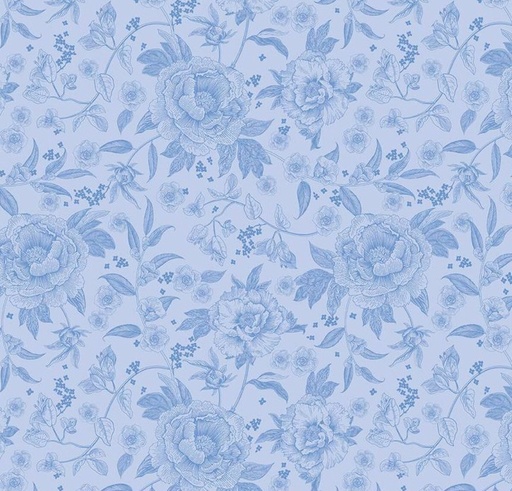 [RB-16640-SKY] Penelope Main Sky by My Mind's Eye for Riley Blake Designs