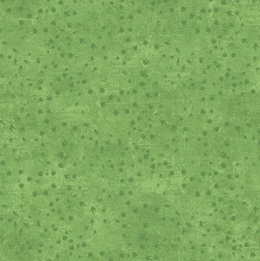 [NOR-28467-74] Dino Roar Dino Tracks Green by Brett Blumenthal for Northcott Fabrics