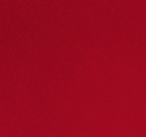 [SHF-QC-CARD] Quilting Cuddle Solid Cardinal from Shannon Fabrics